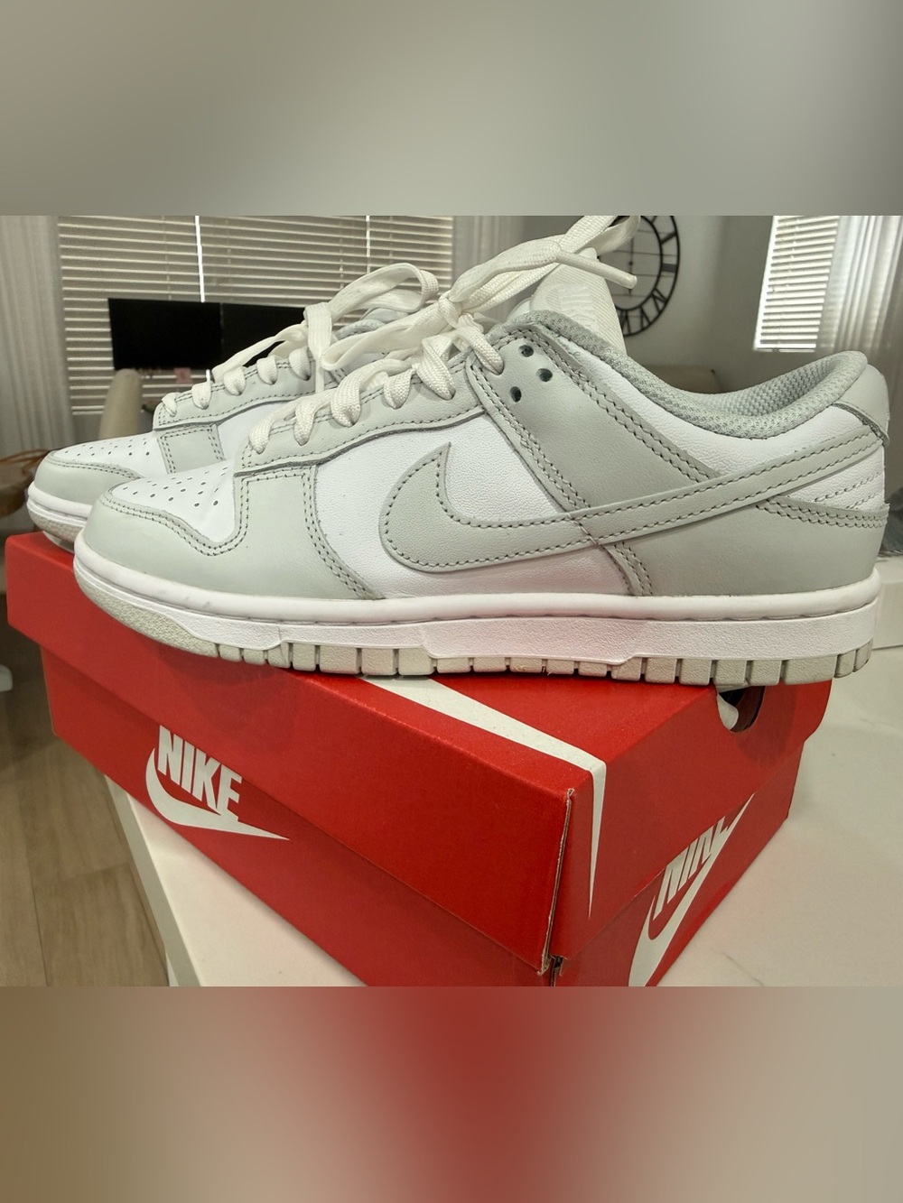 Women’s Nike Dunk Low Sneakers